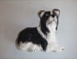 photo of Border Collie Ceramic Fridge Magnet